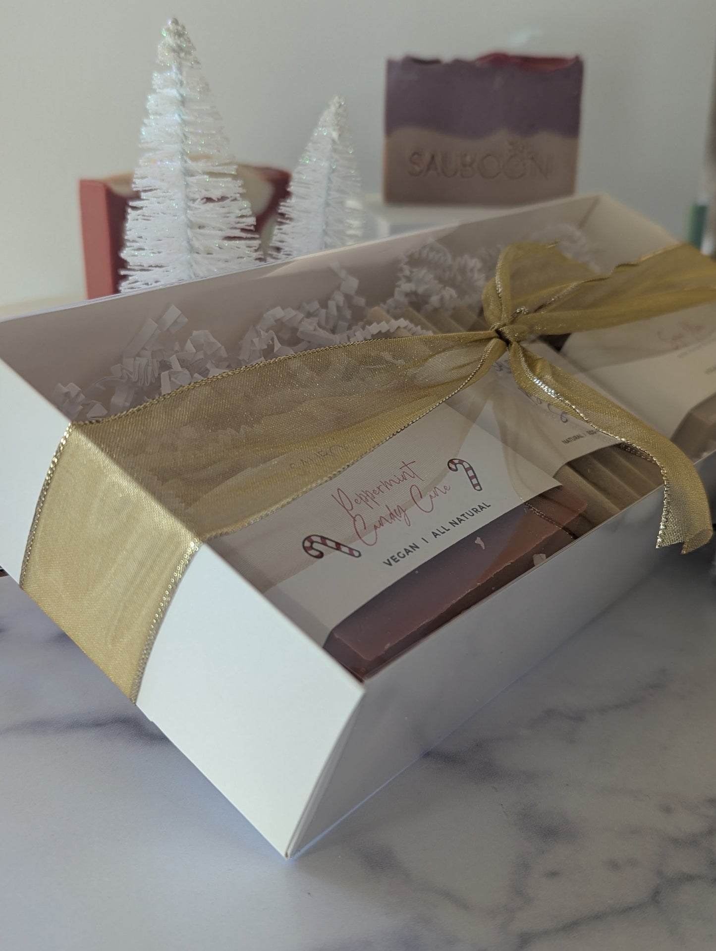 Holiday 2 Soap+ Dish Gift Box